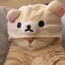 Hoàng Văn Nghĩa avatar