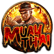 Võ Sĩ Quyền Anh game thumbnail