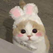 Nguyễn Bảo Châu avatar